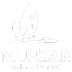 Munzar